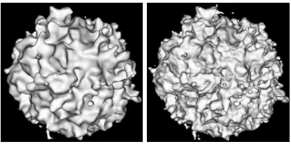 Figure 4: An implicit surface with two layers (left) and threelayers (right) of a Perlin noise function.