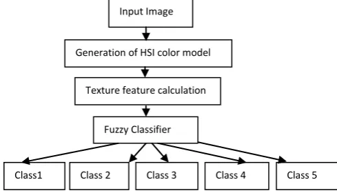 Fig 1: The raisin classification Process Chart  