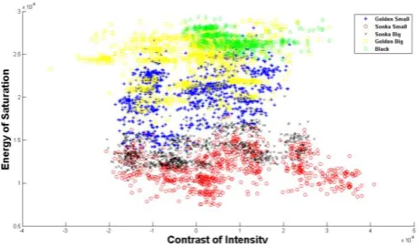 Figure 3:Feature plot between Kurtosis of Saturation and Skewness of Intensity for 5 cluster 