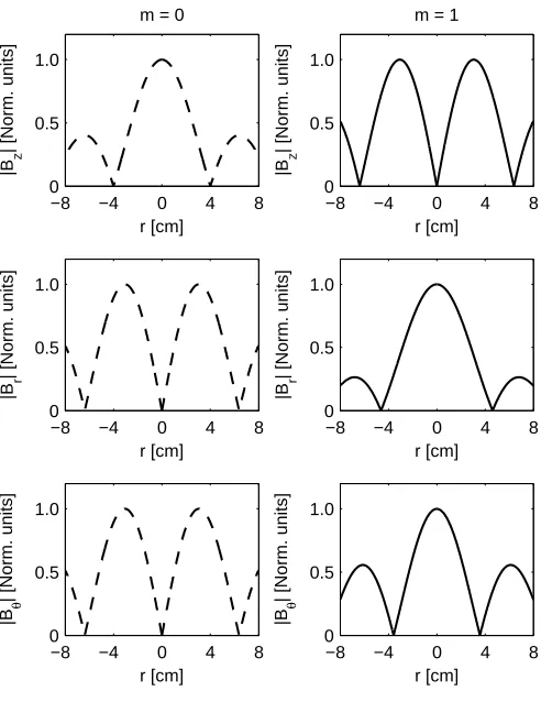 Fig. 1.10: Examples of the magnitude of theand Bz, Br, and Bθ wave ﬁeld components for m = 0 m = 1 azimuthal mode numbers