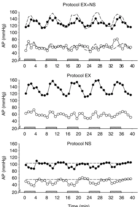 Figure 2. Changes in systolic pressure (SBP) and diastolic