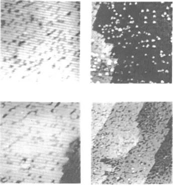 Figure 6. the exposure during tunnelling by STM filled states images of the reconstructed Si(100) surface taken before (left) and after (right) submonolayer oxidation