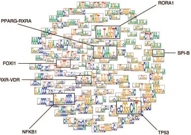 Fig. 4. Clusters within a population. Clusters are represented by their fittest motif, relative fitness is shown by motif size, and the layout is amultidimensional scaling of intercluster distances, produced by the Kamada-Kawai force-directed method [16]