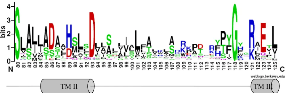Figure 1CDF signatureCDF signature. Sequence logo representation of the modified signature
