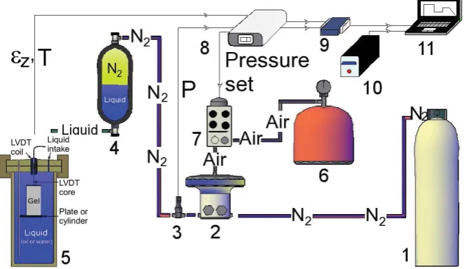Figure 1: Diagram of the experimental apparatus for applying DP to agar gel 