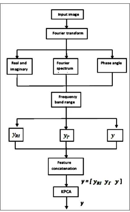 Fig 4: Feature extraction by KPCA 