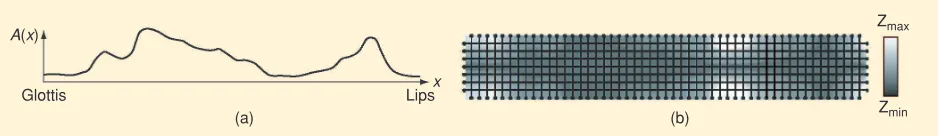 Figure 5(a) shows the cross-sectional area function informa-