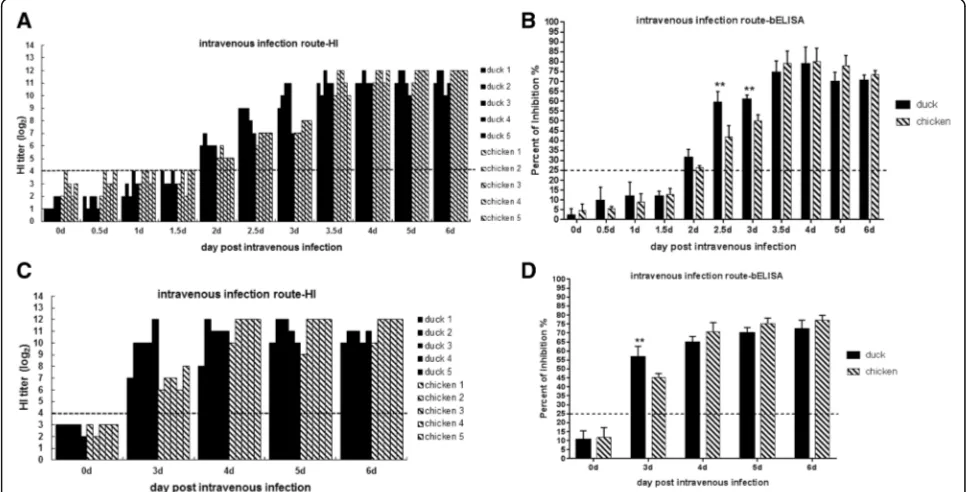 Table 1brain (1/3), heart (2/3), and pancreas (1/3) samples fromthe chickens, and viral titers were substantially increasedat 3 dpi in all of these tissue samples (Fig.Tableonly three duck lungs (3/3), with no virus detected in anyof the other duck organs