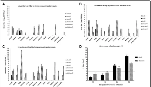 Fig. 3 Virus titer and HI antibody responses of chickens and ducks intravenously infected with the H9N2 virus