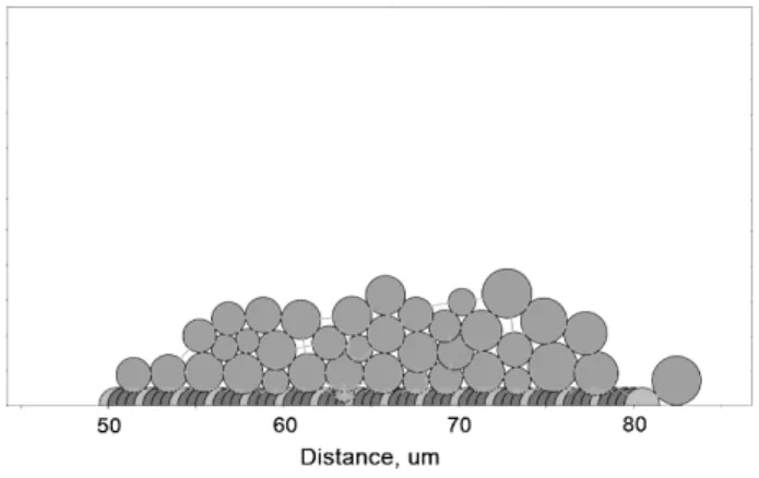 Figure 1. Platelet aggregate structure and dynamics of its formation