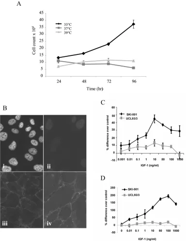 Figure 2. IGF-1 stimulates cell proliferation in the PKD1 cystic line, SKI-001, in the absence of LTantigen expressionLT antigen expression in SKI-001 cells was examined by (A) monitoring cell growth atdifferent temperatures over 96h after plating; (B) imm