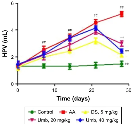 Figure 1 effect of Umb on rat hPV.Notes: rats were given an intragastric injection of Umb (20 and 40 mg/kg) once daily from day 21 to 28 after the administration of Fca