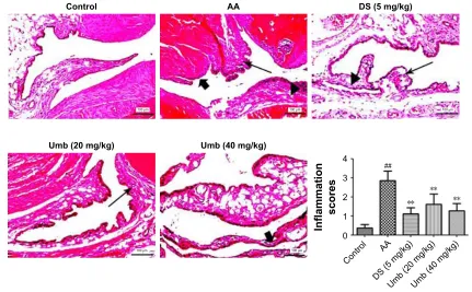 Figure 3 histological assessment (×200). 