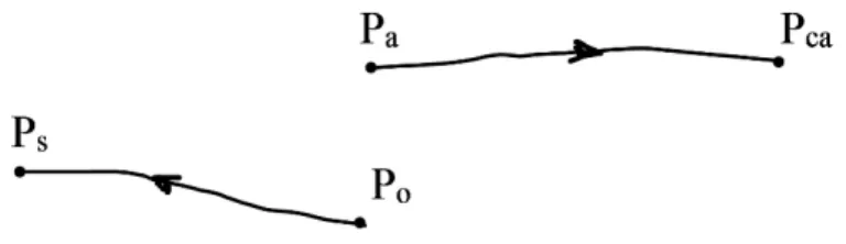 Figure 1. The two paths of the solution, where: P o  is the original point of conditions  of the problem