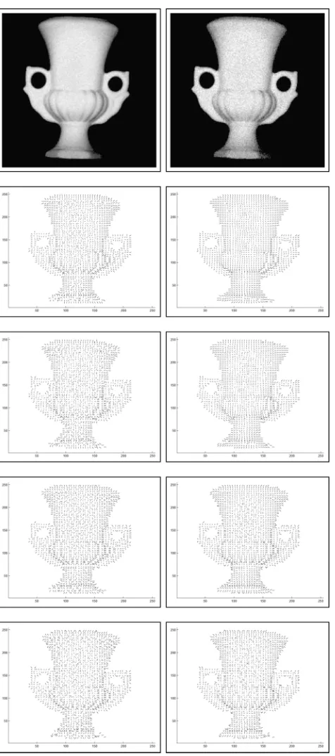 Fig. 7. First row: Input images with noise added. Second and third rows: Fieldof surface normals delivered by the algorithm of Worthington and Hancock afterten and 100 iterations