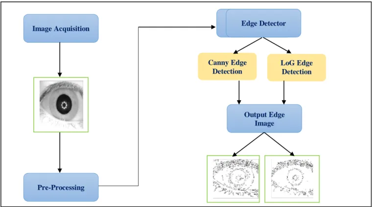 Fig. 3. Two popular used discrete approximation of Laplacian filter (Maini 