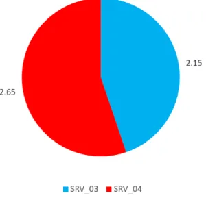 Table 4. Calculating SRV 03 and SRV 04 Score in Dynamic Variable Case