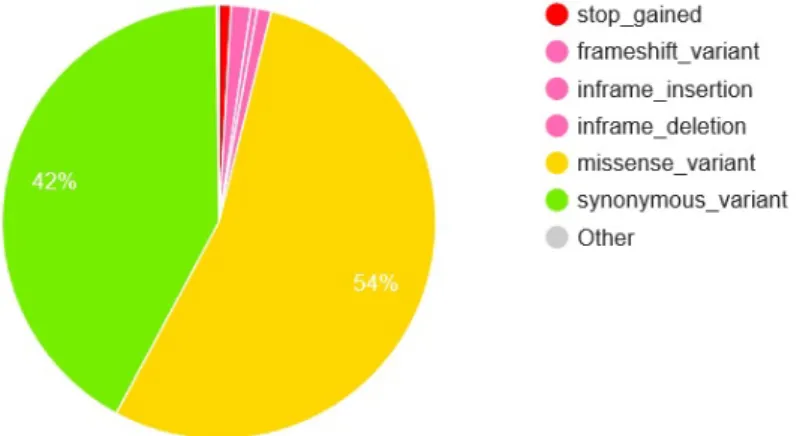 Figure 3. Variant classification depending on the consequences, shows the most severe ones