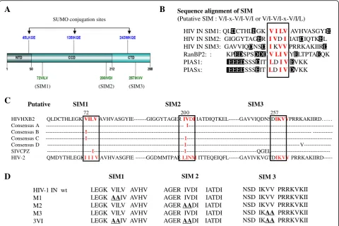 Fig. 1 The three putative SIMs of IN and mutagenesis analysis. a Schematic of HIV-1 IN with its three putative SIMs and SUMO conjugation siteshighlighted