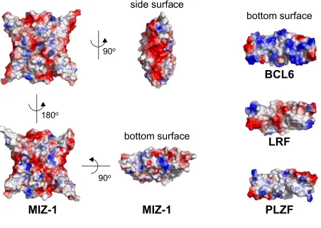 FIGURE 3ACCEPTED MANUSCRIPTside surface