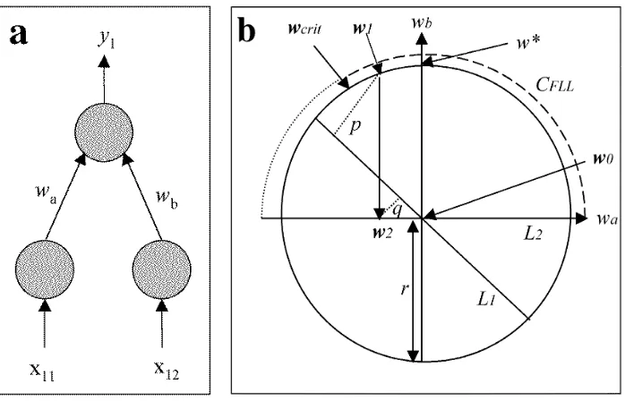 Figure 2: Geometry of Free-Lunch Learning. a) Given a network with two input