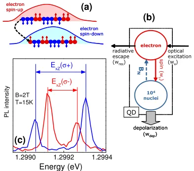 FIG. 1: (a) Schematic representation of the electron-nuclearspin ”ﬂip-ﬂop” process.(b) The steps involved in nuclearpolarization of a quantum dot (see text for detail)