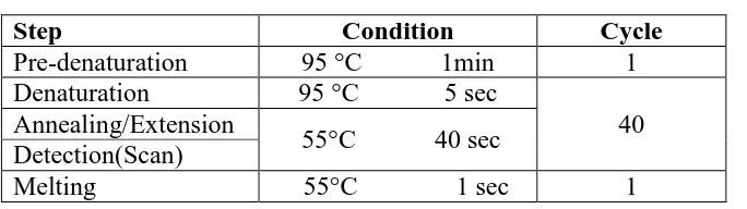 Table (2) Conditions for real-time PCR. 