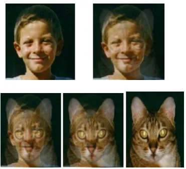 Fig 4: Generation of frame correspond to source & destination image 