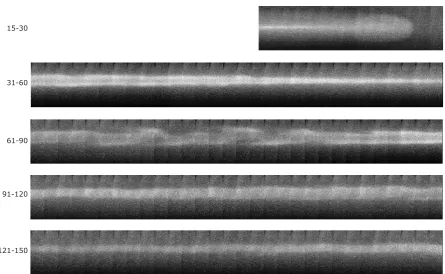 Figure 12: Sequence of reconstructed images for the heavy jet Xe in Ar at M = 15.1, η = 77 obtainedas superpositions of scaled correlated frames from the original movie