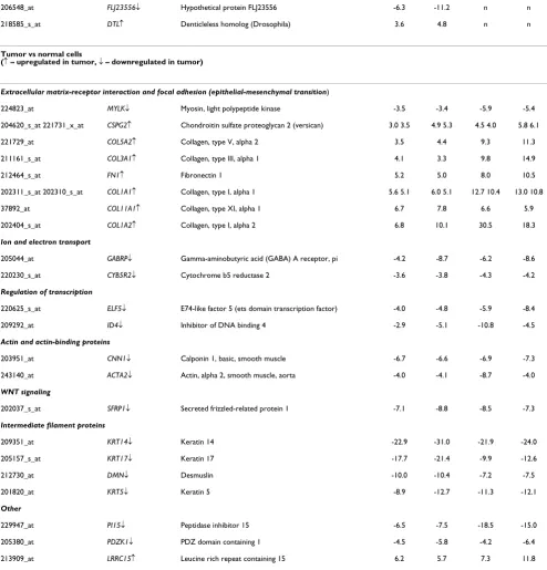Table 3: Genes differentially expressed between tumor versus normal cells by both rank products and pairwise analysis (Continued)