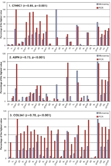 Figure 7CTHRC1 trix probe sets (225681_at, 219087_at and 211161_s_at, respectively) and optical density of PCR bands (OD × cm) were transformed to a percentage of the highest value