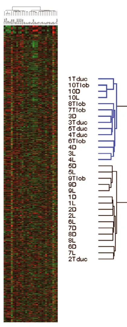 Figure 1probe setsUnsupervised hierarchical clustering of all samples using all Unsupervised hierarchical clustering of all samples using all probe sets