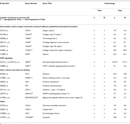 Table 3: Genes differentially expressed between tumor versus normal cells by both rank products and pairwise analysis
