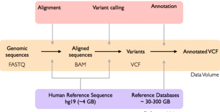 Figure 9. Workflow for variant calling of genomic data from cancer samples