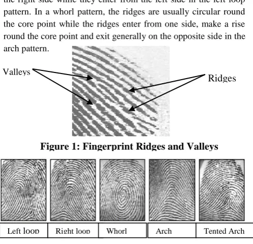 Figure 2: Basic types of fingerprint pattern loop 
