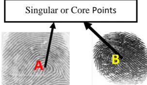 Figure 3: Components of a finger-scan system. 