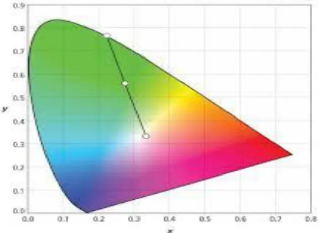 Fig: 3 Shape features of Image dataset  3.3 Texture Feature  