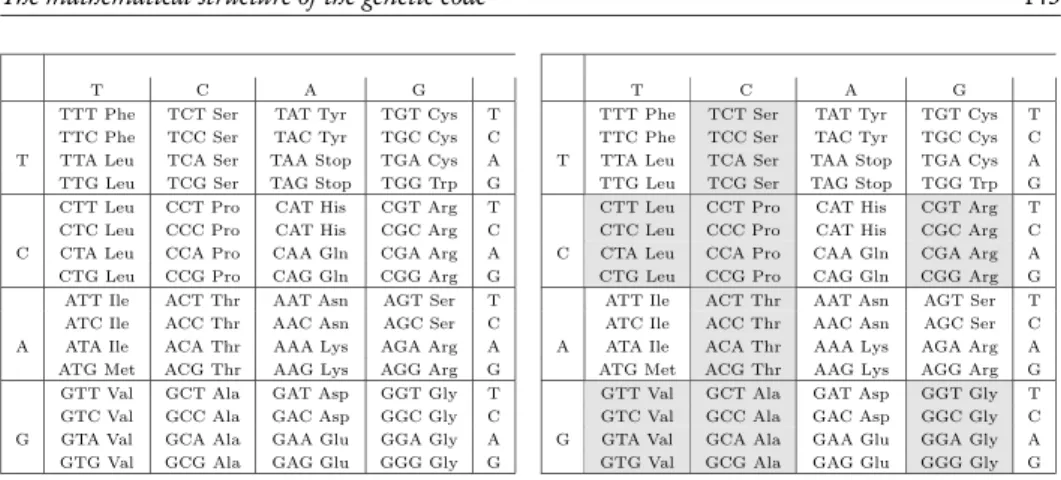 Figure 1 – (left) representation of the standard nuclear genetic code; (right) graphical representa- representa-tion of the classificarepresenta-tion of triplets in Rumer’s classes