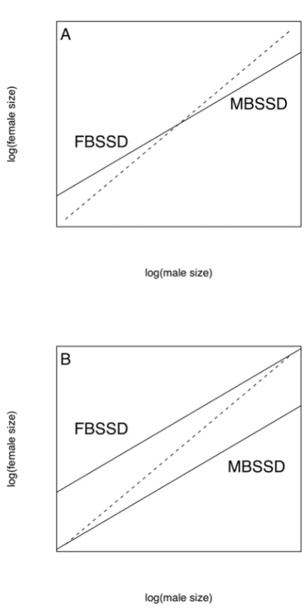 Figure 1. A. Rensch’s rule as it is often represented schematically. Thedashed line is the line of isometry (male size = female size); the solid linerepresents Rensch’s rule, with SSD increasing with size in species withMBSSD, decreasing with size in speci