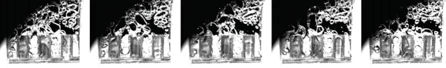 Figure 4: Ethanol boiling internal visualization, �T=6.0 K;�frames every 10.14ms.