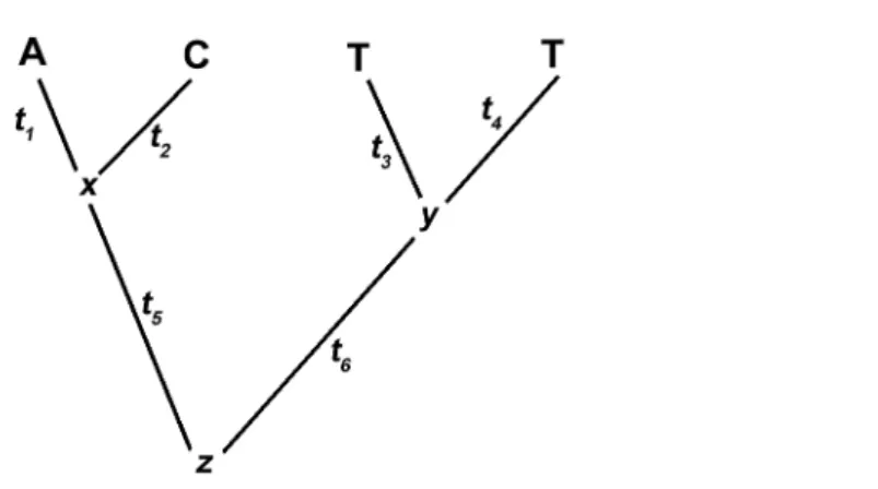 Figure 1 – Example tree with branch lengths and data at a single site.