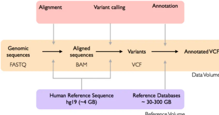 Figure 8. Workflow for variant calling of genomic data from cancer samples