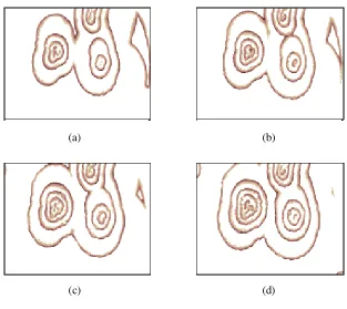 Fig. 1   Some snapshots for the BZ reaction at different time instants. The size of each template is 300×500(300 pixels in the vertical direction and 500 pixels in the horizontal direction)