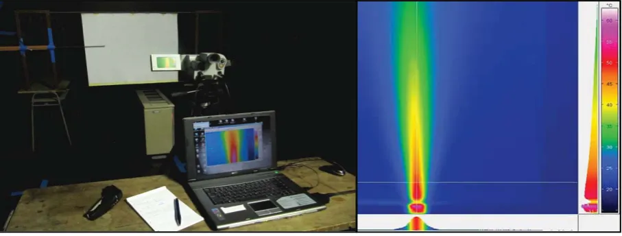 Figure 4: Photography and thermogram the time constant determination 