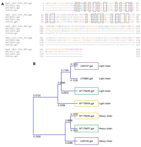 Figure S4 Alignment of amino acid sequence of the variable region among anti-VAP2.Notes: Alignment of amino acid sequence of the variable regions among anti-apolipoprotein monoclonal antibodies and URq01 (A)