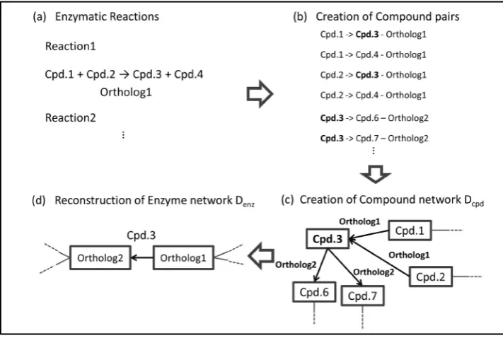Figure 1. Overview of the algorithm for reconstructing CPM. (a) The abbreviation Cpd. represents compound