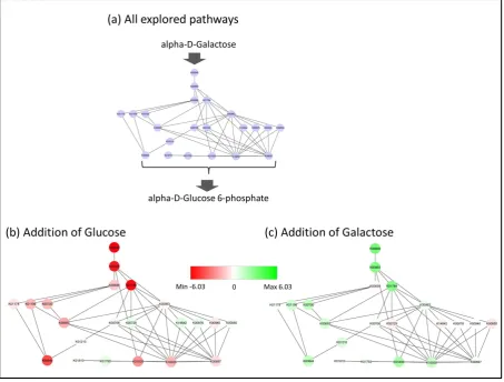 Figure 4. All pathways from α-D-galactose to α-D-glucose-6-phosphate. (a) All pathways explored from sCPM are shown