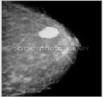 Figure 3(a): Original Image   
