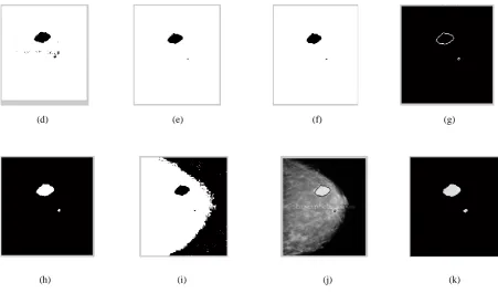 Figure 4(c) Histogram of the Resized Image   