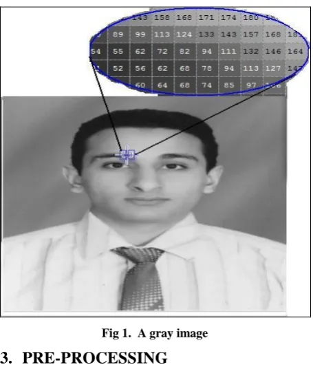 Fig 2. Each image is divided into nine regions 
